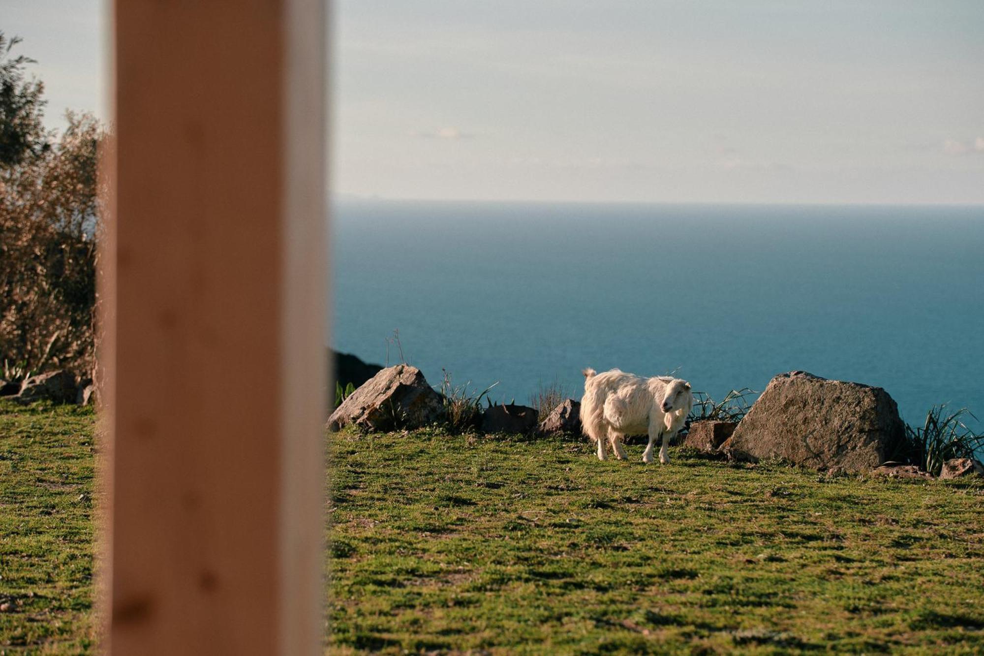 New Suites Sea View Sardinia, Castelsardo Zewnętrze zdjęcie